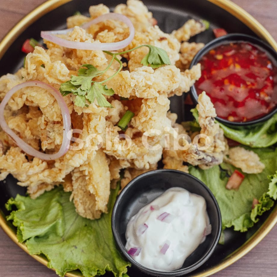 CIBO SOLO RESTAURANT
